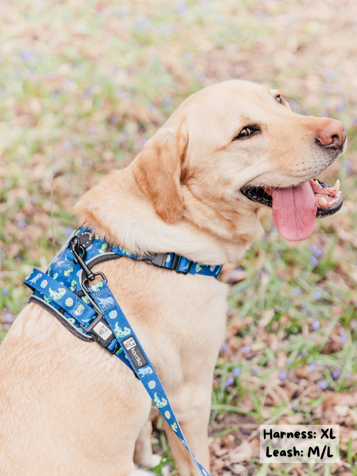 Essential Exploration No-Pull Harness Walk Set - Dino (3-Piece)