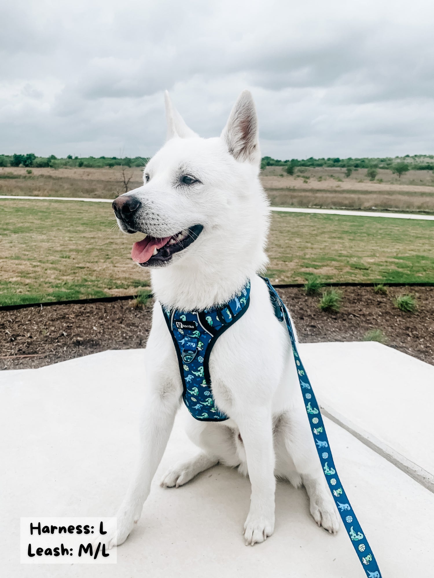 Exploration Lite No-Pull Dog Harness - Dino