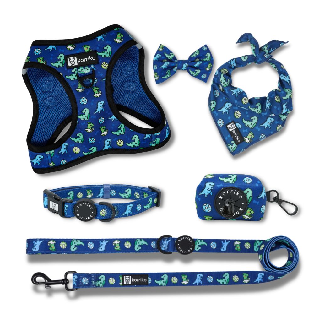 Harness Bundle Set - Dino (Step-In)