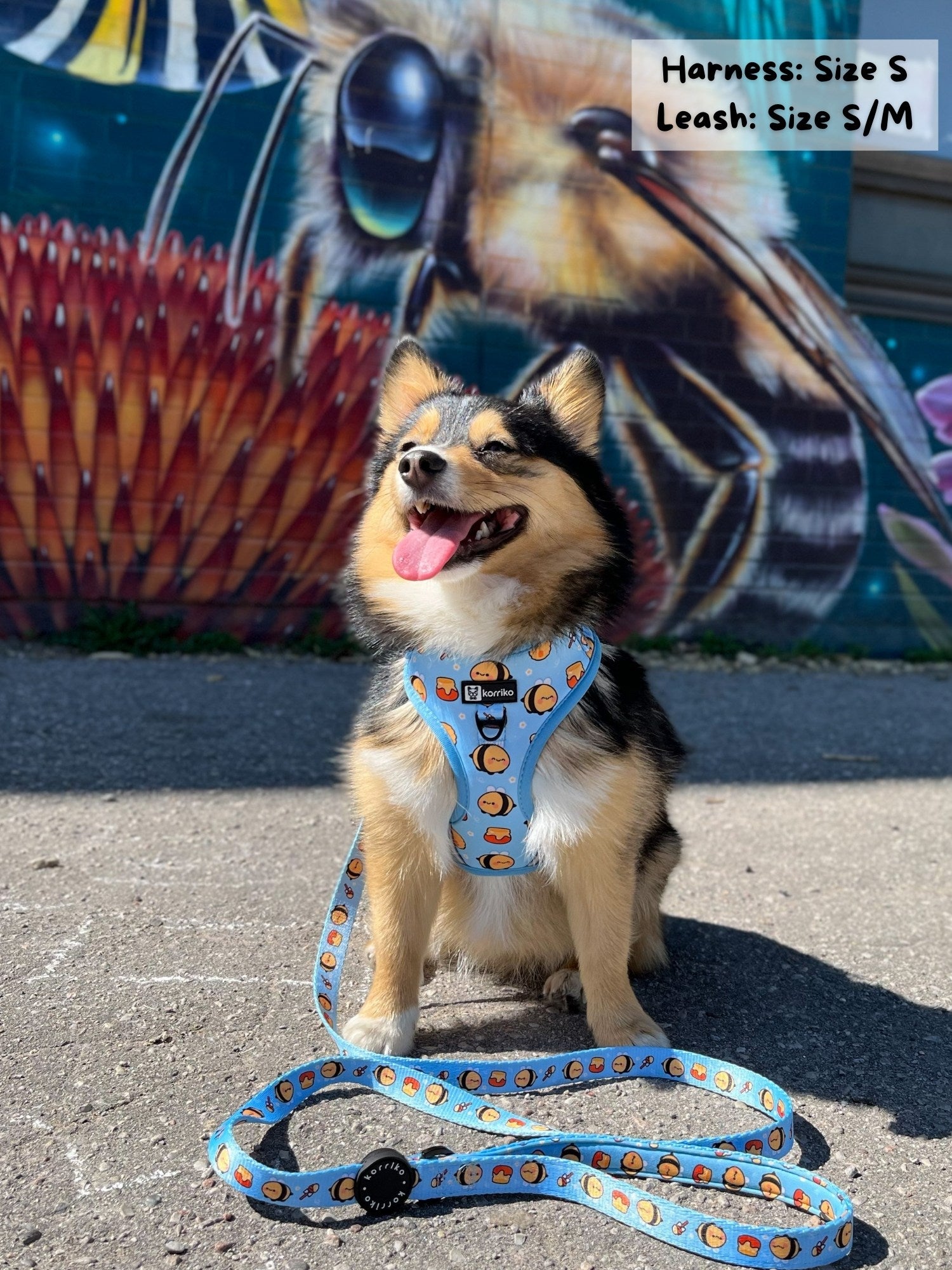 Dog Leash - HoneyBee (Final Sale)