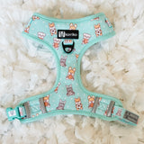 Adjustable Dog Harness - Dream Team (Final Sale)