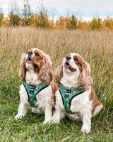 Adjustable Dog Harness - Safari (Final Sale)