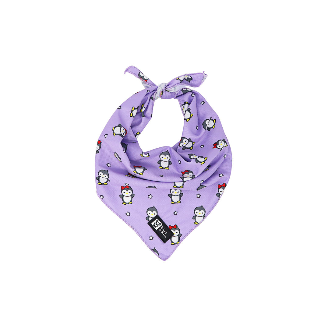 Dog Bandana - Frosty Feet - Blue Paw Co.
