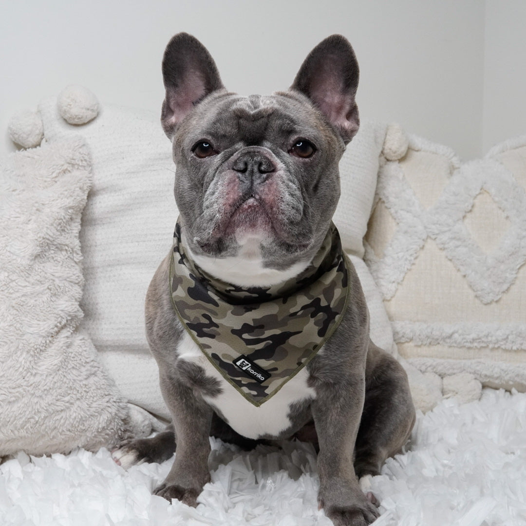 Cooling Dog Bandana - Green Camo (Final Sale)