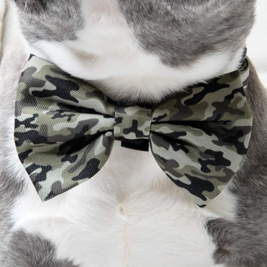 Dog Bow Tie - Green Camo (Final Sale)