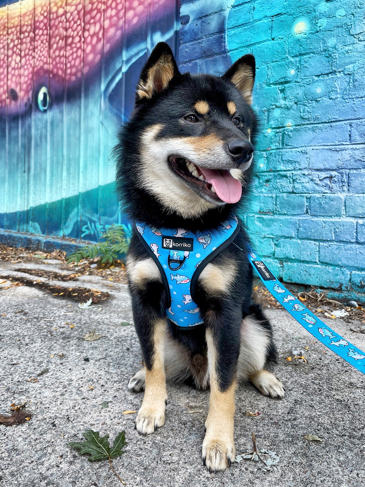 Adjustable Dog Harness - Shark