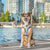 Reversible Dog Harness - Cheat Day (Blue Paw Co. - FINAL SALE)