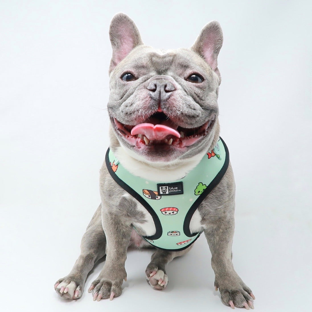 Adjustable Dog Harness - Sushi (Blue Paw Co. - FINAL SALE)