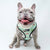 Adjustable Dog Harness - Sushi (Blue Paw Co. - FINAL SALE)