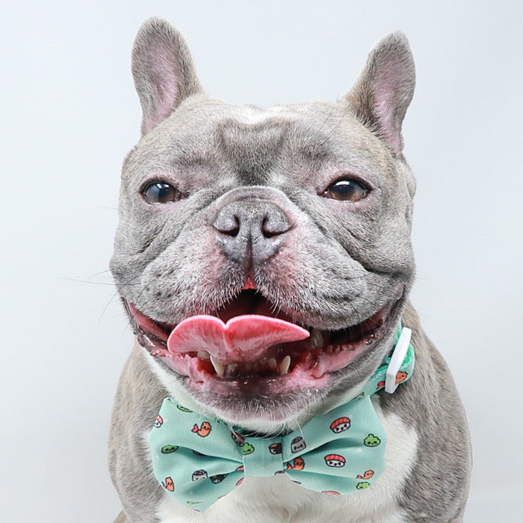 Dog Bow Tie - Sushi (Blue Paw Co. - FINAL SALE)