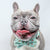 Dog Bow Tie - Sushi (Blue Paw Co. - FINAL SALE)