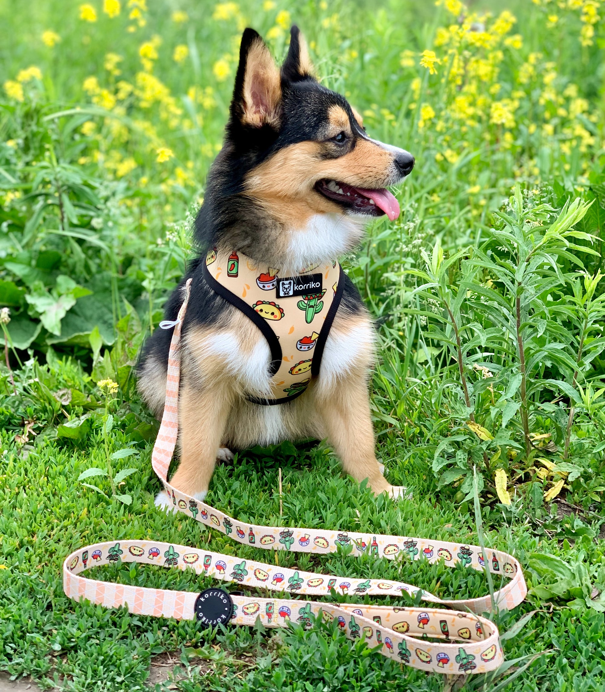 Reversible Dog Harness - Taco Fiesta (SECONDS - FINAL SALE)