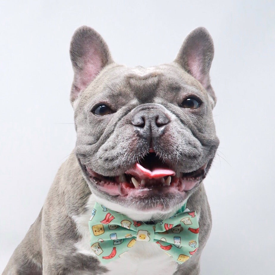 Dog Bow Tie - Thanks A Brunch (Blue Paw Co. - FINAL SALE)