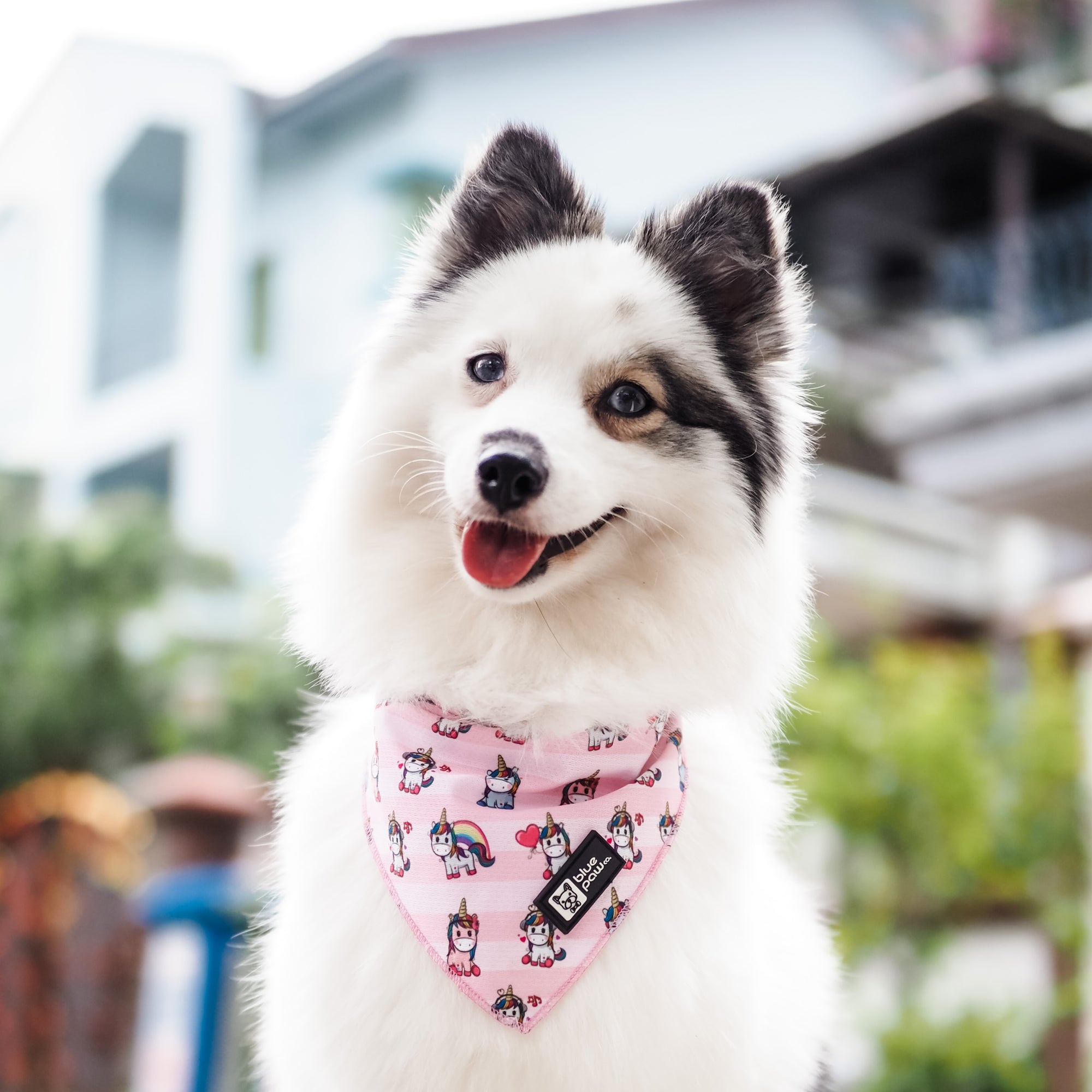 Cooling Dog Bandana - Hearts & Horns (Blue Paw Co. - FINAL SALE)