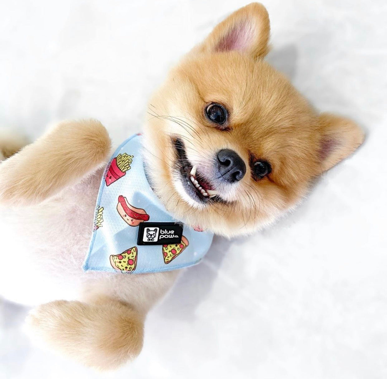 Cooling Dog Bandana - Cheat Day (Blue Paw Co. - FINAL SALE)