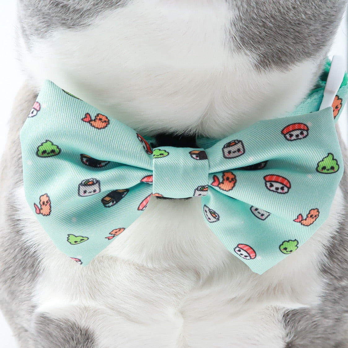 Dog Bow Tie - Sushi (Blue Paw Co. - FINAL SALE)