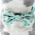 Dog Bow Tie - Sushi (Blue Paw Co. - FINAL SALE)