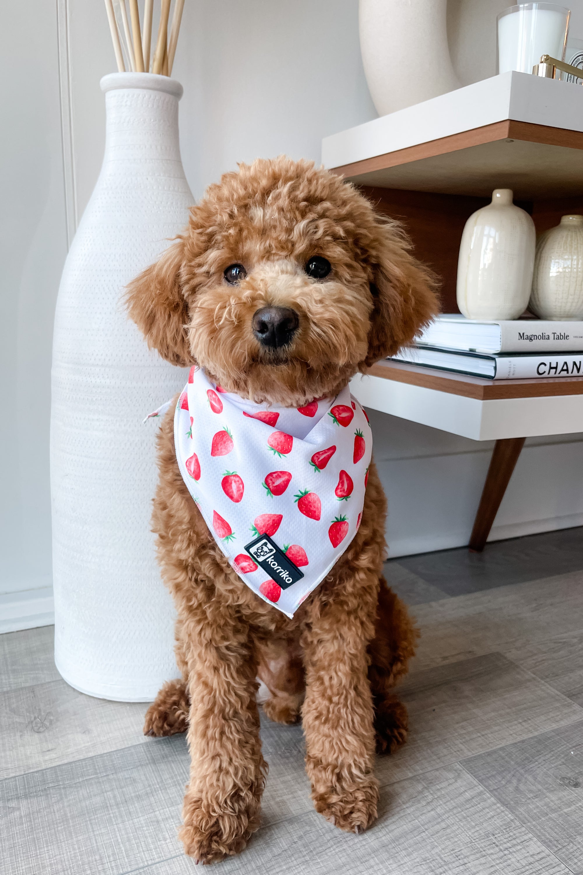 Cooling Dog Bandana - Strawberries & Cream (Final Sale)