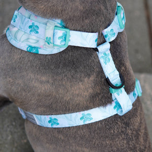 Adjustable Dog Harness - Mint Sakura (Final Sale)