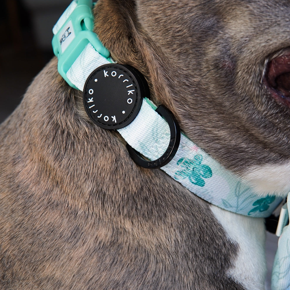 Dog Collar - Mint Sakura (Final Sale)