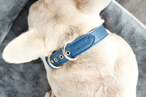 Signature Collar & Leash Set - Navy (*PROMO*)