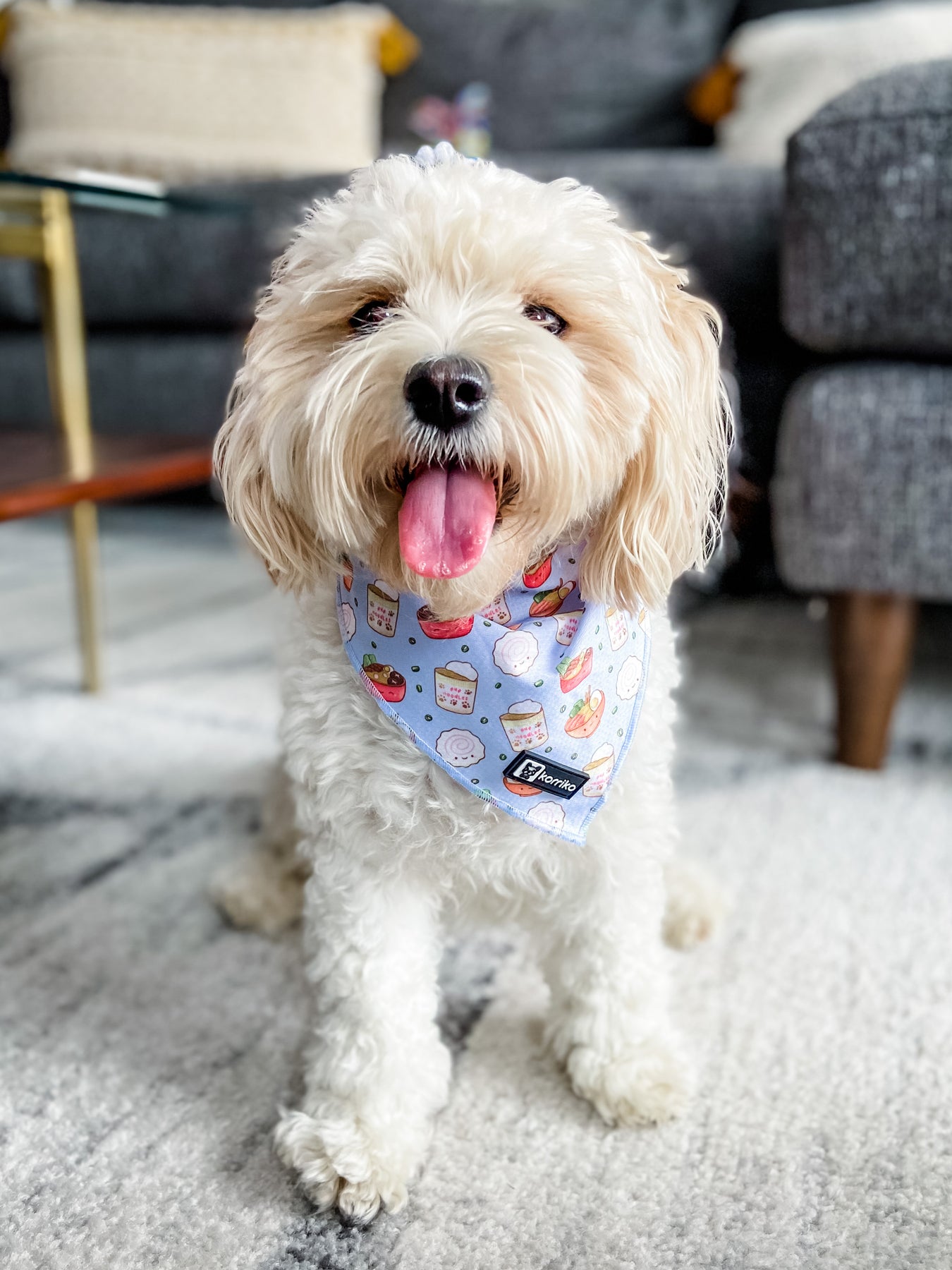 Cooling Dog Bandana - Ramen