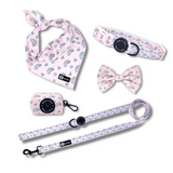 Ultimate Collar Bundle Set - Over The Rainbow (5-Piece)
