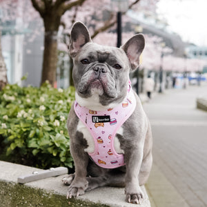 Adjustable Dog Harness - Patisserie