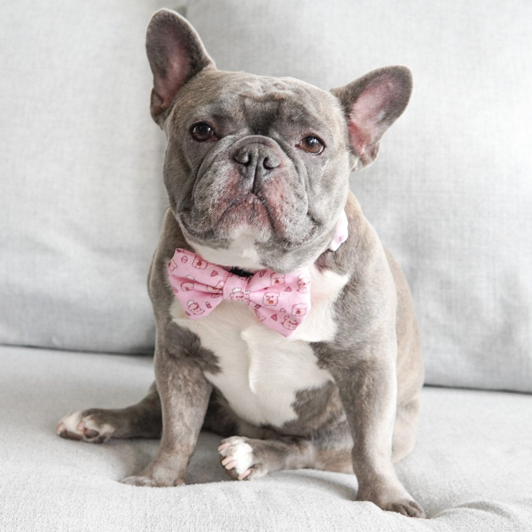 Dog Bow Tie - Piggin' Out (Final Sale)