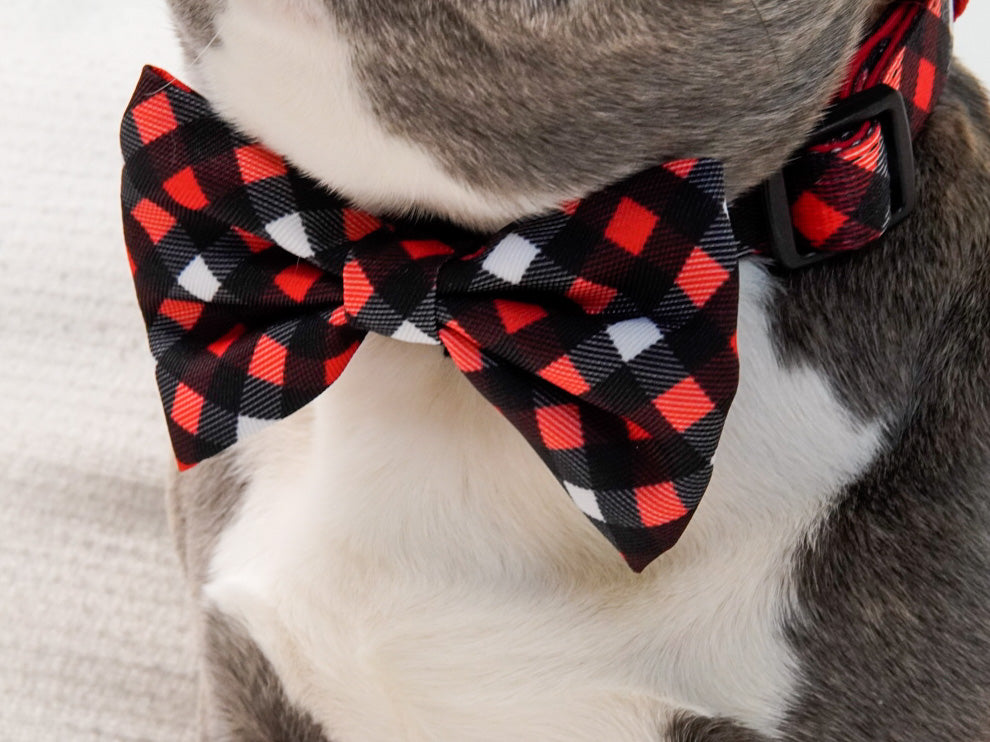 Dog Collar - Red Plaid