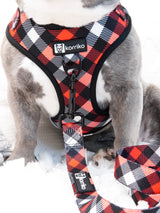 Adjustable Dog Harness - Red Plaid (SECONDS - FINAL SALE)