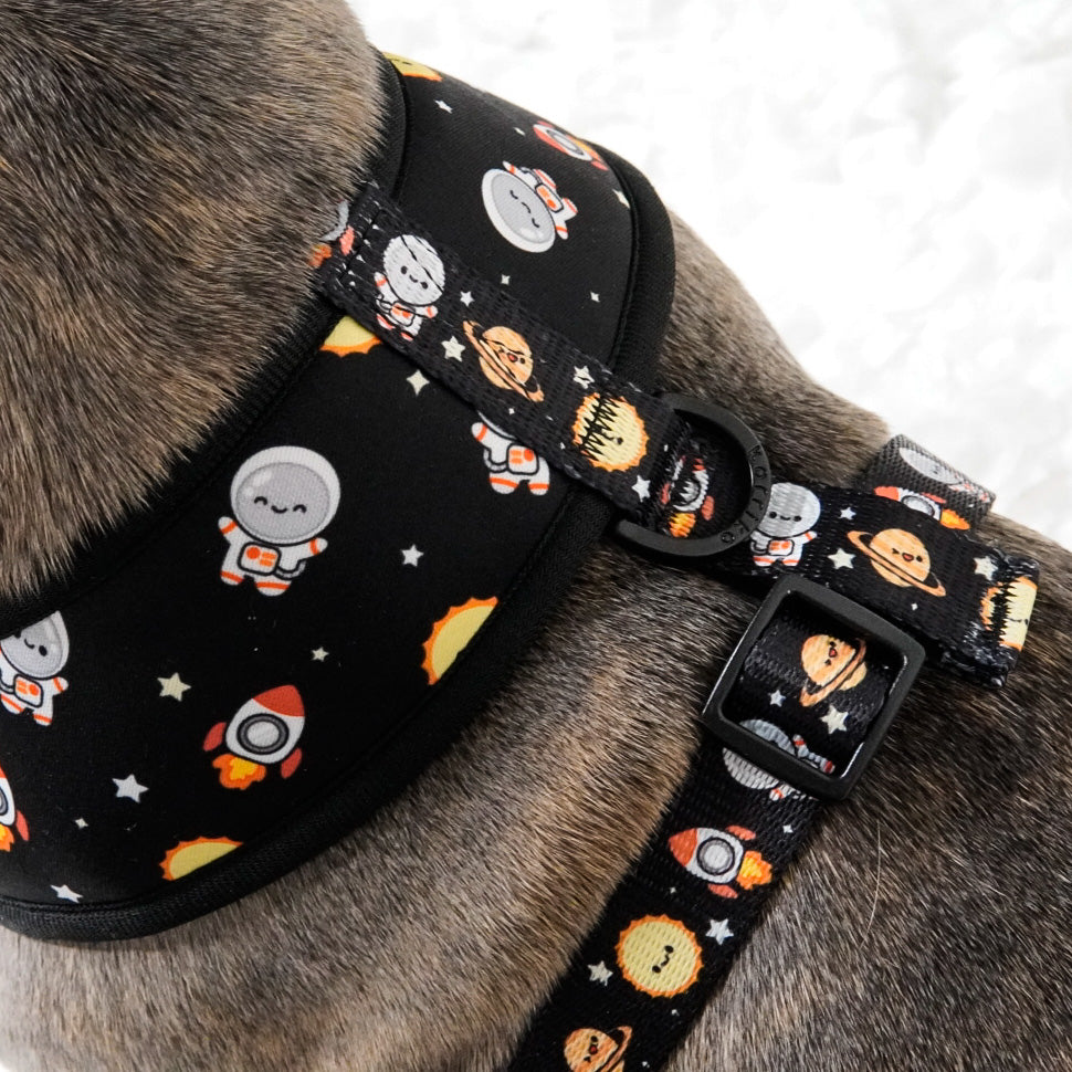 Classic No-Pull Dog Harness - Space Cadet