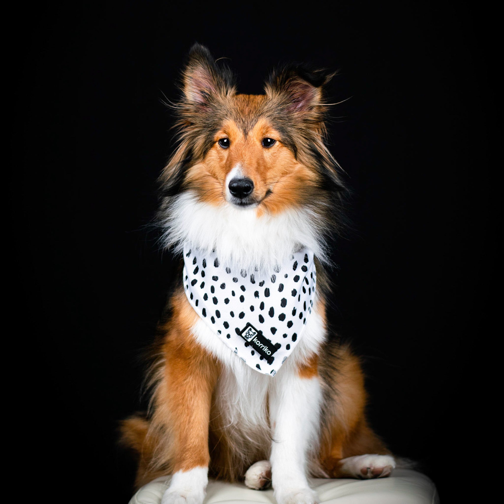 Cooling Dog Bandana - Spotted (Final Sale)