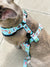 Adjustable Dog Harness - Sushi