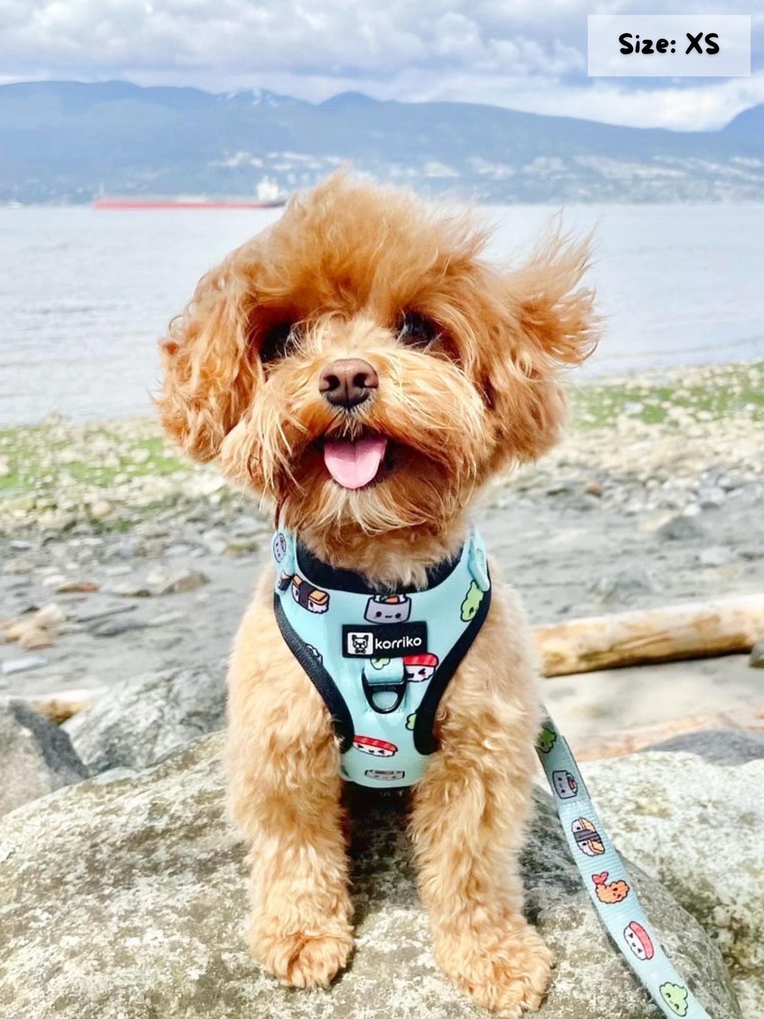 Adjustable Dog Harness - Sushi (SECONDS - FINAL SALE)