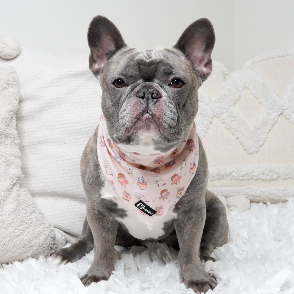 Cooling Dog Bandana - Coffee Break (Final Sale)