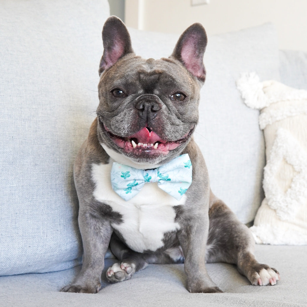 Dog Bow Tie - Mint Sakura (Final Sale)