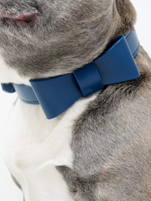 Signature Collar & Leash Set - Navy (*PROMO*)